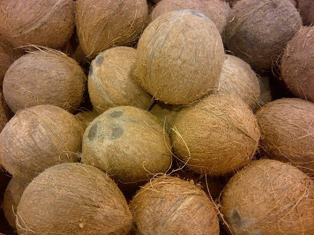 Husked brown coconuts